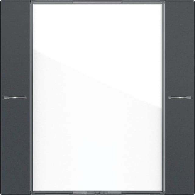 Gira Wipp.s.1f Bsf Tasts.4 Kl./antr (577128 System 55)
