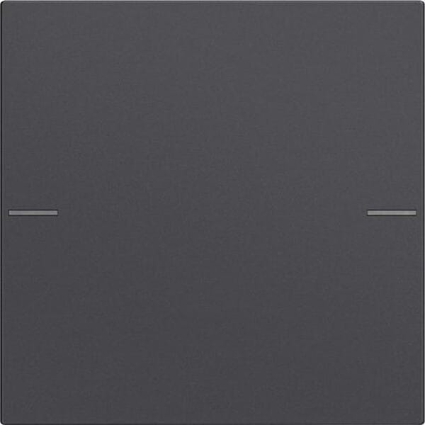 Gira Wippenset 1f Tastsens.4 Anthr. (575128 System 55)