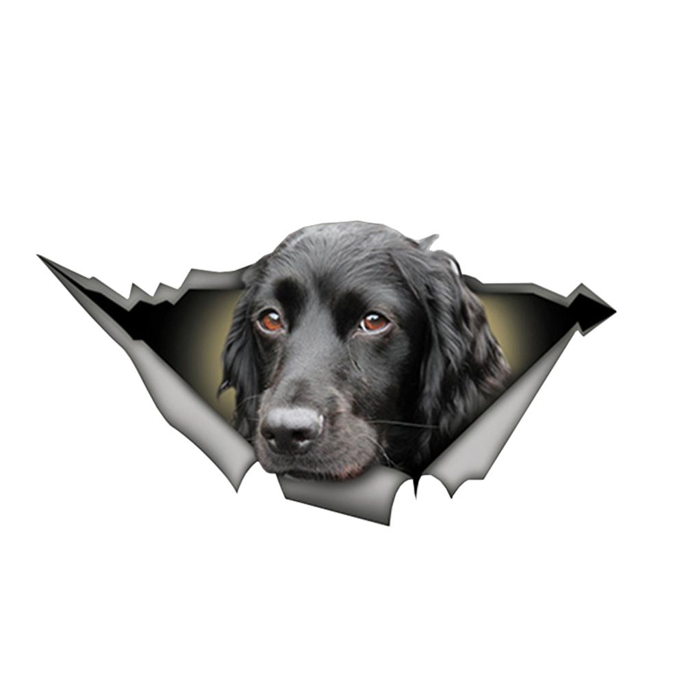 Individuell Gestaltete Aufkleber Für Autos, Fahrzeuge, Hunde, Haustiere, Wasserfeste Aufkleber, Auffällige Aufkleber Für Zerbrochene Fenster, Wände, Laptops