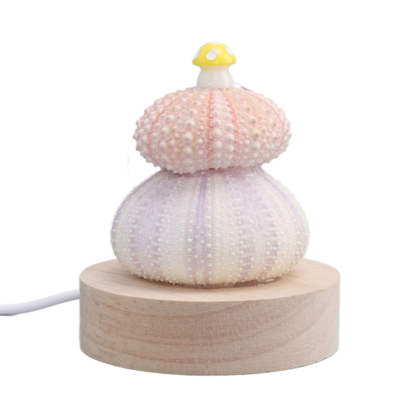 Warmweißes Led-nachtlicht Mit Usb-anschluss, Gehäuse In Natürlicher Muschelform, Niedliches Pilzdesign, Nachttischlampe