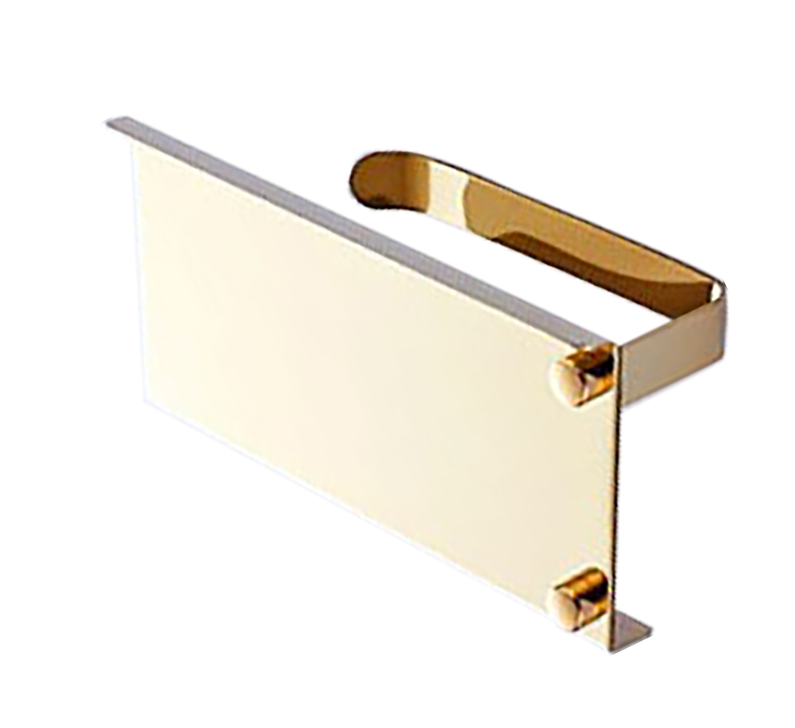 Goldener Edelstahl-toilettenpapierhalter Mit Großem Stauraum, Wandmontierter Rollenspender Fürs Badezimmer