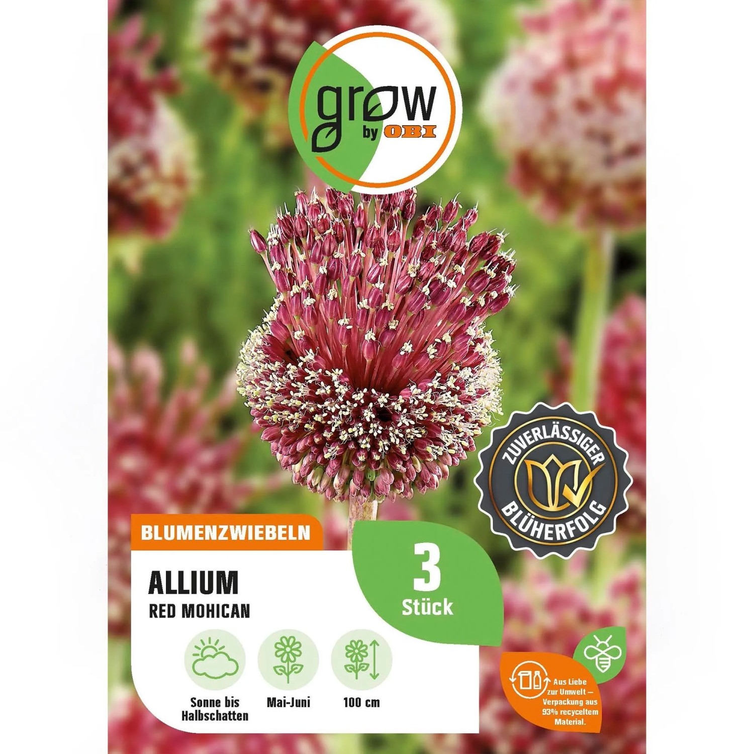 GROW by OBI Zierlauch Red Mohican Rot 3 Stück Allium amethysinus Red Mohican