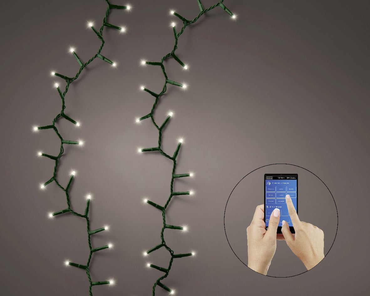 Kaemingk Lichterkette App gesteuert Compact 500 Lichter warmweiß Bild 3