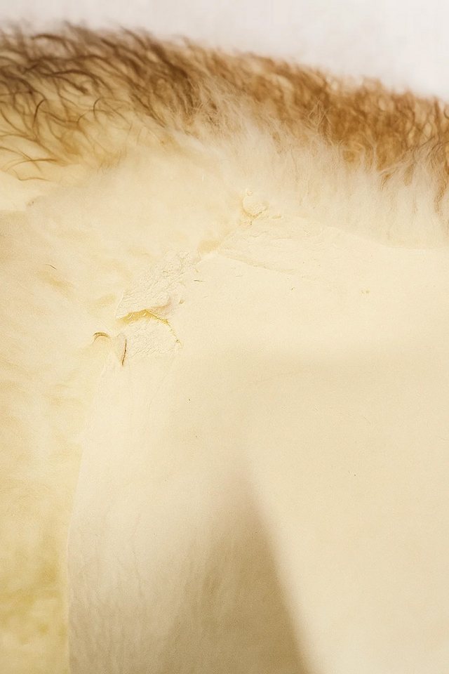 Provellus Fellteppich Öko Schaffell Geflammt – Echt, mit kleinen Mängeln Bild 5