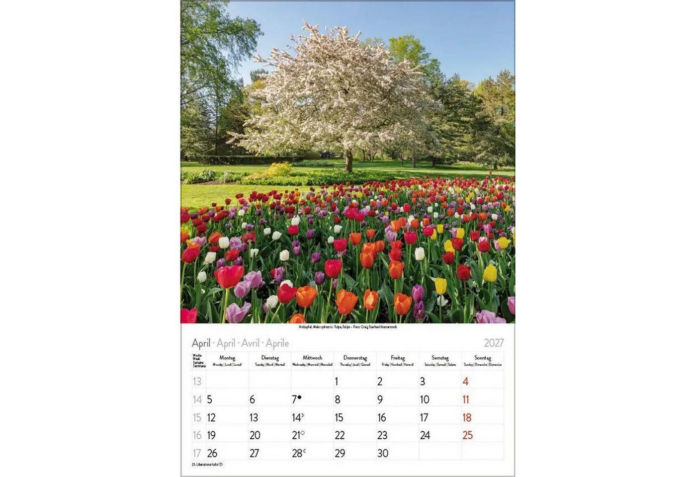 Korsch Verlag Wandkalender Blütenzauber 2027