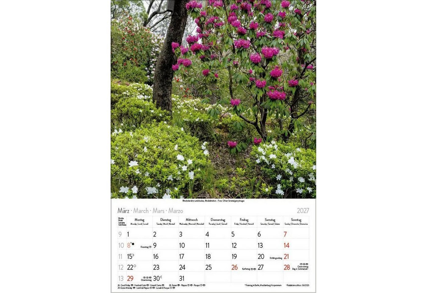 Korsch Verlag Wandkalender Blütenzauber 2027 Bild 2