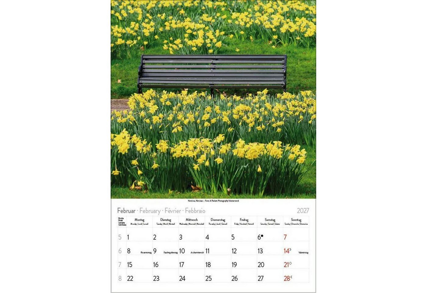 Korsch Verlag Wandkalender Blütenzauber 2027 Bild 3