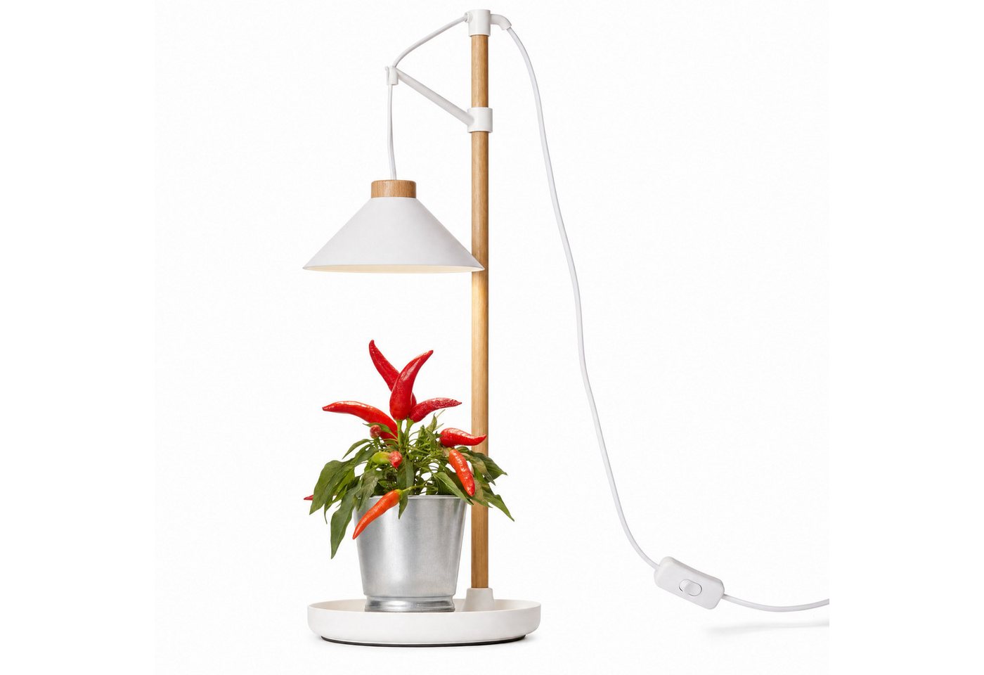 Northpoint Pflanzenlampe LED Pflanzenleuchte Kräutergarten aus Echtholz 9W 550 Lumen Timer Bild 2