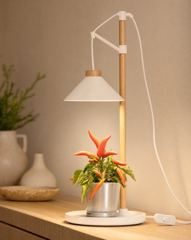 Northpoint Pflanzenlampe LED Pflanzenleuchte Kräutergarten aus Echtholz 9W 550 Lumen Timer Bild 4