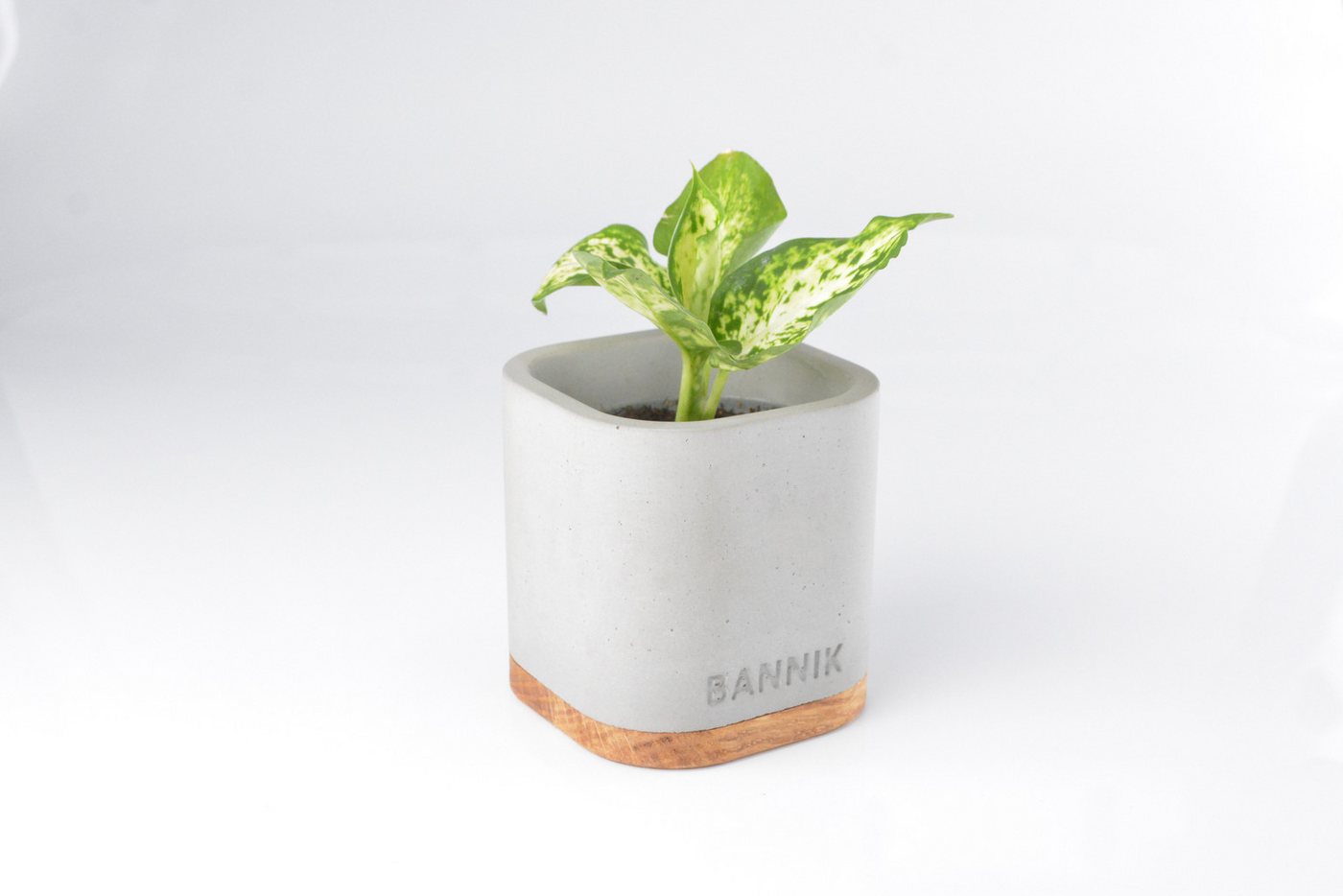 Bannik Blumentopf aus Beton und Holz - Moderner Pflanzkübel - Handgefertigter Pflanztopf (1 St., 7,5x7,5x8cm), runde, glatte, hochwertige Haptik