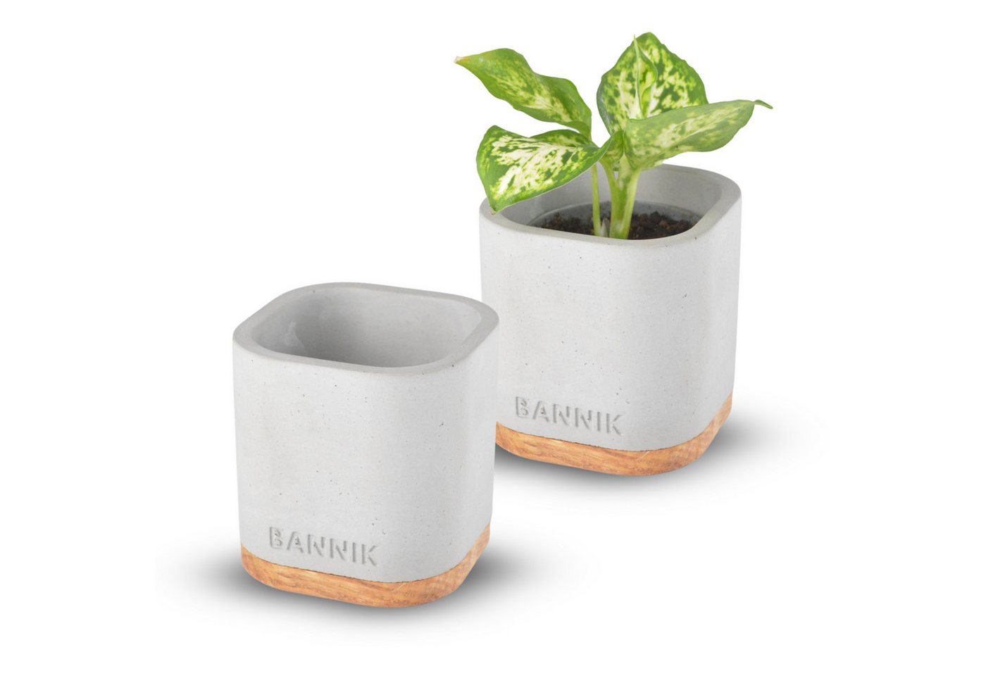 Bannik Blumentopf aus Beton und Holz - Moderner Pflanzkübel - Handgefertigter Pflanztopf (1 St., 7,5x7,5x8cm), runde, glatte, hochwertige Haptik Bild 2