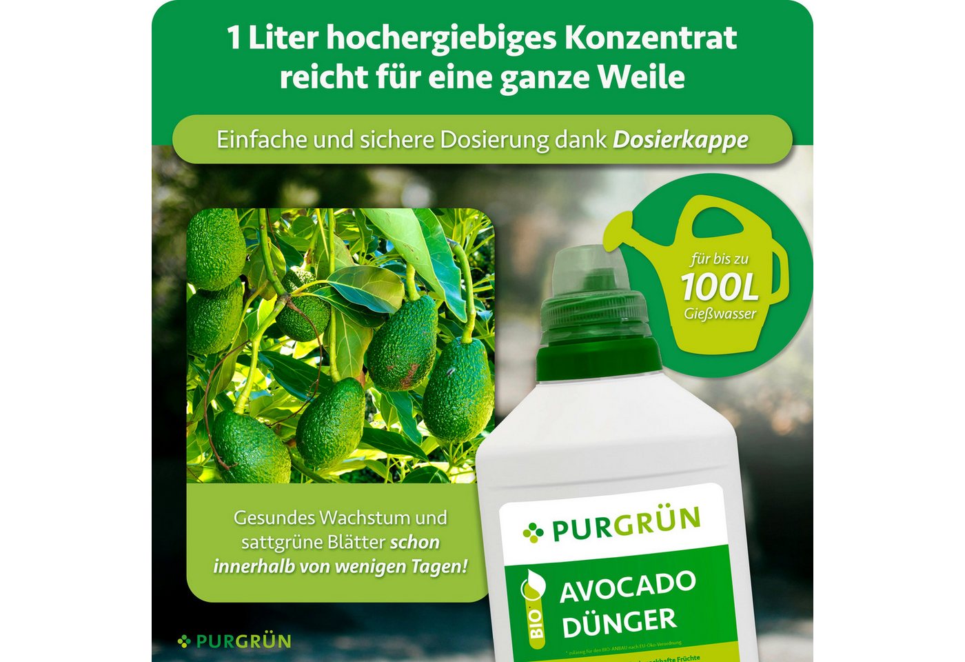 Purgrün Gemüsedünger Bio Avocado Dünger, NPK 4+1+7, Algenextrakt, 1 Liter, Flüssigdünger, 1-St., 1 Liter Bild 3