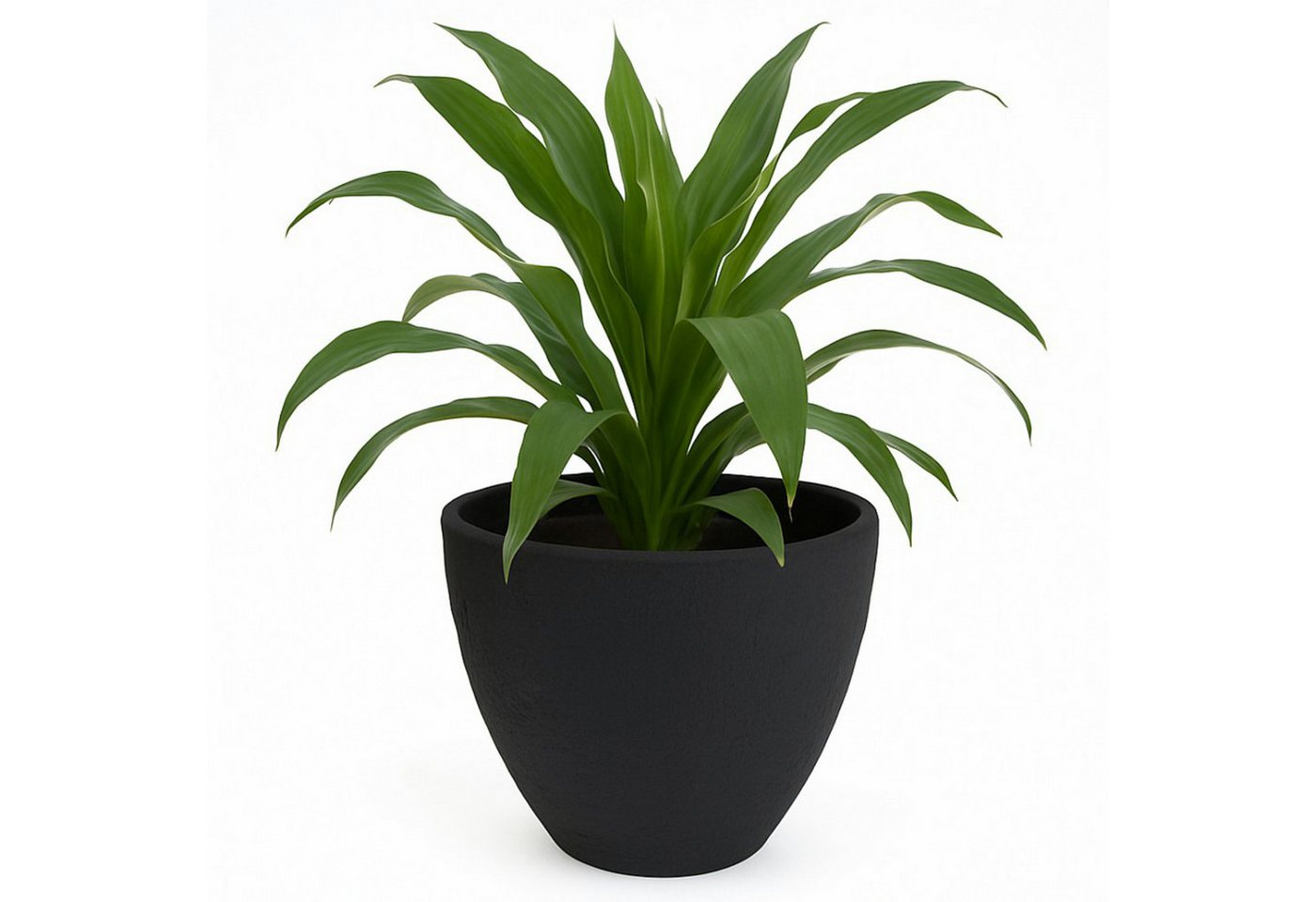 Koopman Blumentopf Kunststoff 39x31 cm Steinoptik 10 Liter (Stück, 1 St., Packung), 39x31 cm, Steinoptik, Kunststoff, Anthrazit, Garten Bild 2