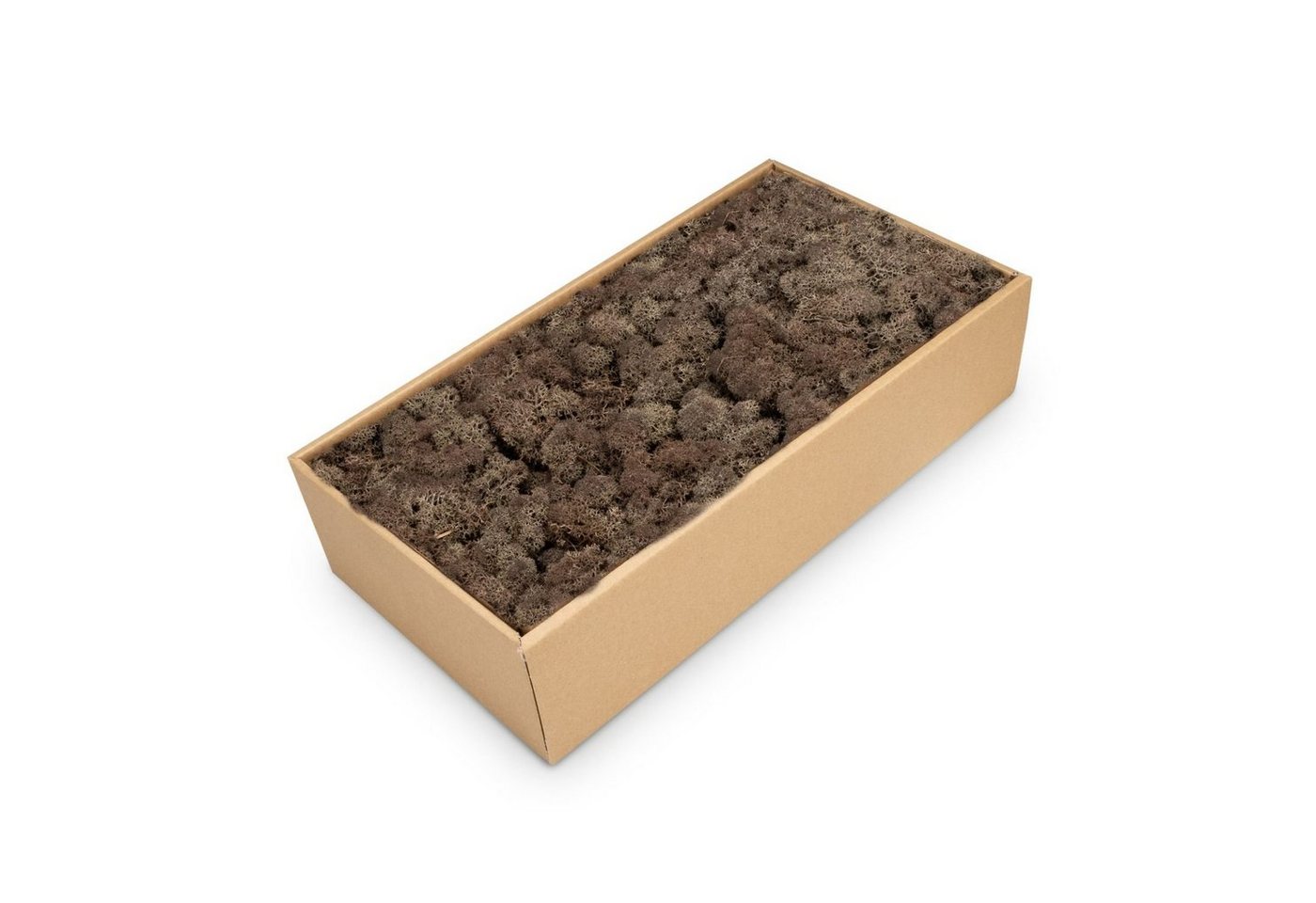NaDeco Bastelnaturmaterial Islandmoos, Braun, 500 g Rentiermoos Mooswand