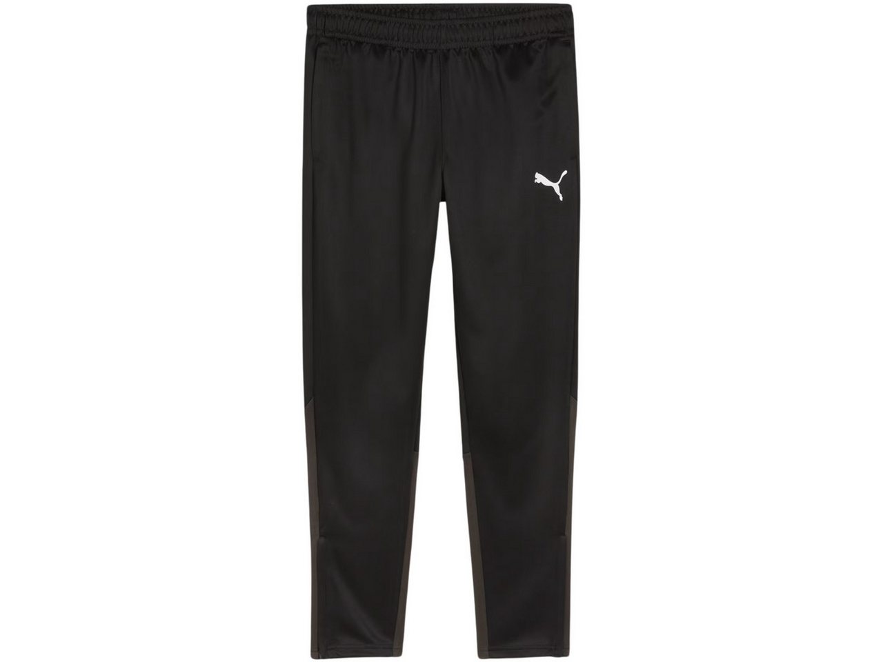 PUMA Trainingshose Puma Team Goal