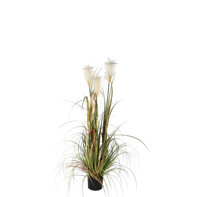 Edm - Mica Kunstpflanze Federgras Foxtail Im Topf Grün, 120 X 45 Cm Kunstpflanzen