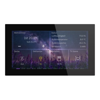 MDT Glas Touch BE-GTS06TS.01S 6 Zoll Schwarz