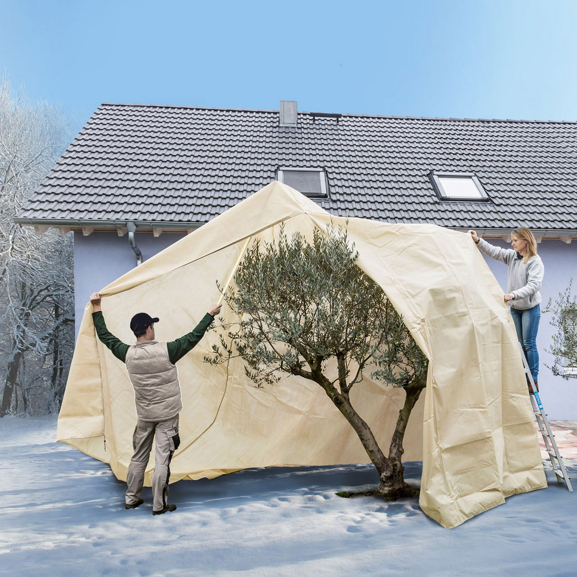 Videx Winterschutz-Vlieshaube 'Mediterran' beige Ø 250 x 350 cm Bild 2