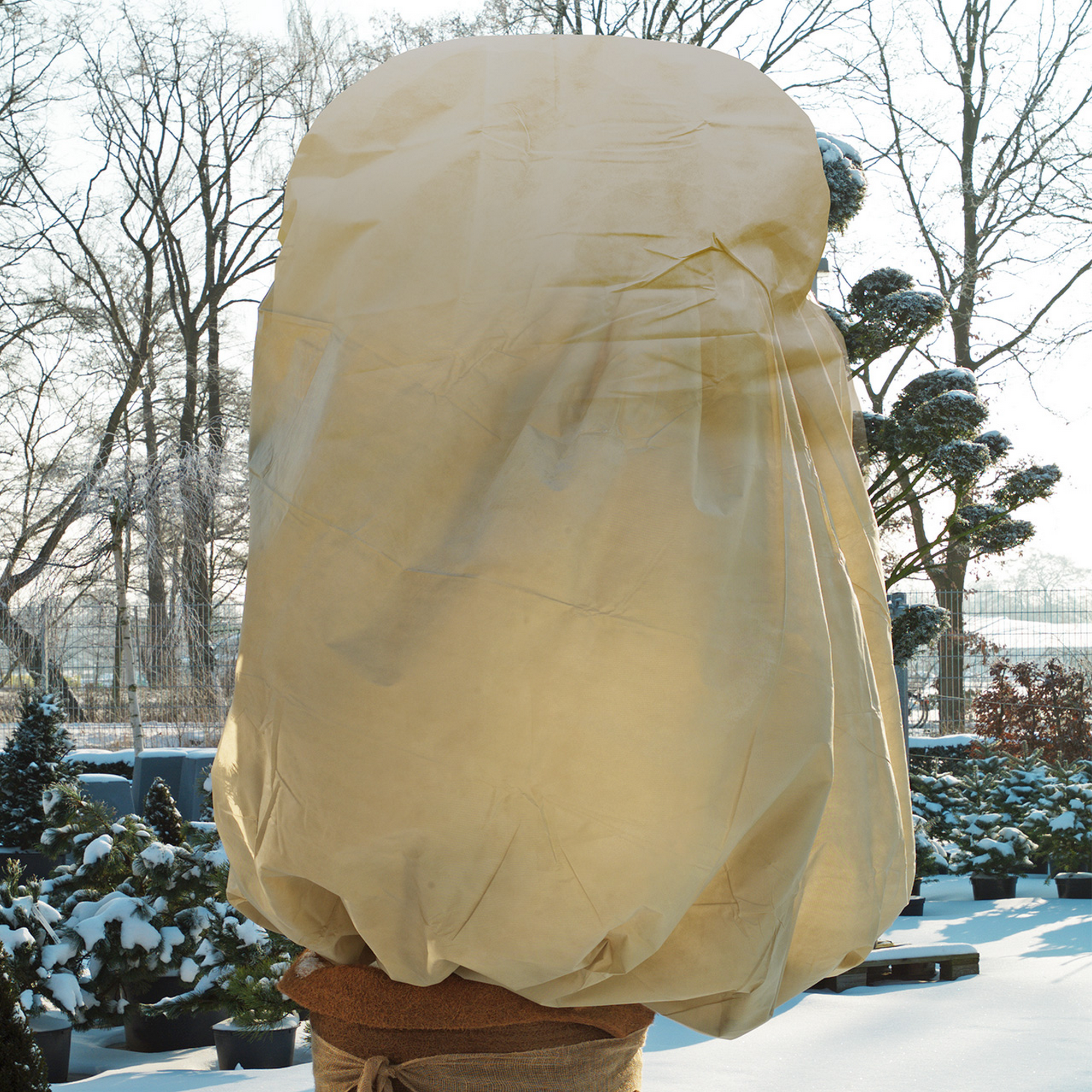 Videx Winterschutz-Vlieshaube 'Exclusiv' beige Ø 250 x 350 cm