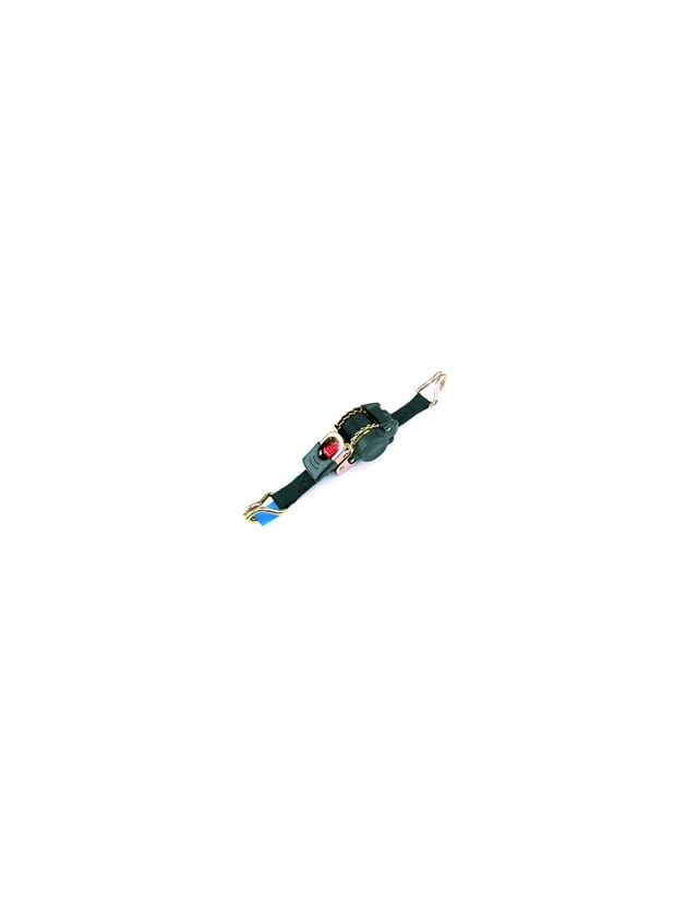 Ratschengurt Zum Sichern. Mit Automatischer Rückführung. 1,8 M X 25 Mm. J-haken. Tragfähigkeit 250 Kg.