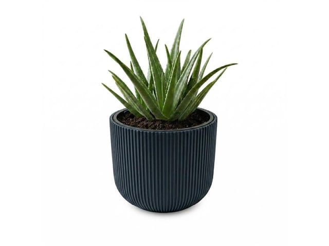 Anthrazitfarbenes Pflanzgefäß Mit Behälter, Kollektion Milly, 29,8 X 29,8 X 25,7 Cm, Fassungsvermögen 14 L.