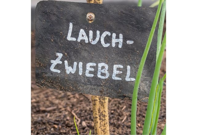 Relaxdays Schiefer Pflanzenschilder, 10er Set, Beetbeschriftung Zum Aufhängen, Garten Zubehör, Schiefertafeln, Anthrazit