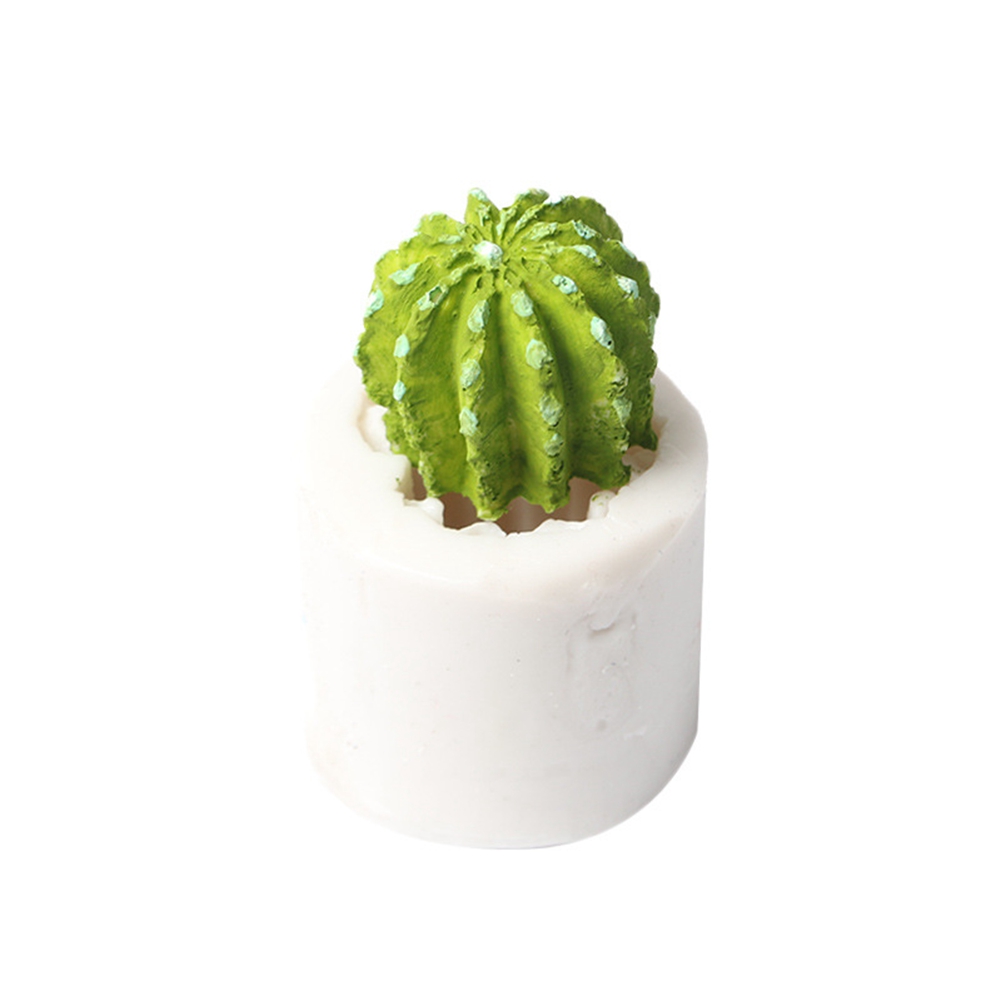 3d-silikonform In Kaktusform Für Kuchen, Kekse, Schokolade Und Zuckerpaste.