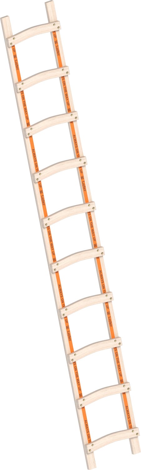 Layher 1046 Holzdachdeckerleiter 10 Sprossen