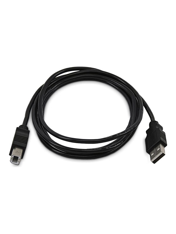 StarTechcom - USB cable - USB to USB Type B - TAA Compliant