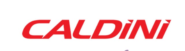 1x CALDINI Acryl Sprühfarbe – Tiefschwarz / Mattschwarz (RAL 9005) | 400 ml Lack
