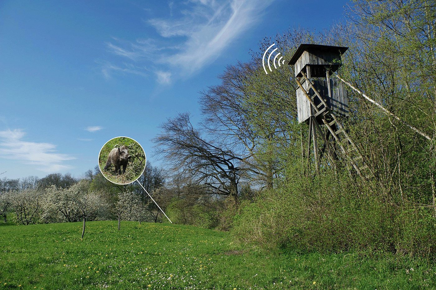 Berger & Schröter Wildkamera 4K/ Melder + Empfänger (Revier, Wildbeobachtung, Jagd, für bis zu 6 Wildkameras mit Ton- oder LED-Meldung) Bild 4