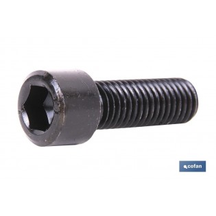 Pack Mit 10 Din-912 C-8.8 Innensechskantschrauben M-22 X 40 N