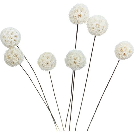 Künstliche Trockenblumensträuße Von Billy Ball, Dekoration Für Haus Und Garten, Dekoratives Blumenset.