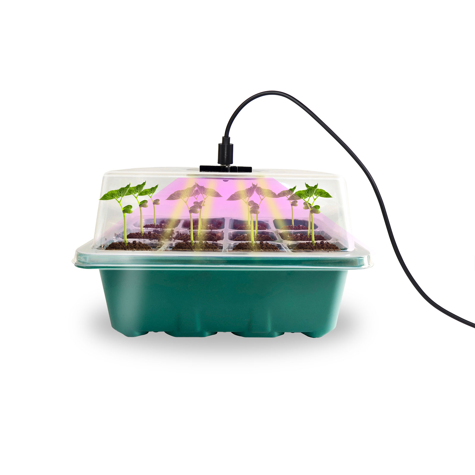 Set Mit Pflanzenlampen Für 1 Bis 6 Bis 12 Löcher Mit Anzuchtschale