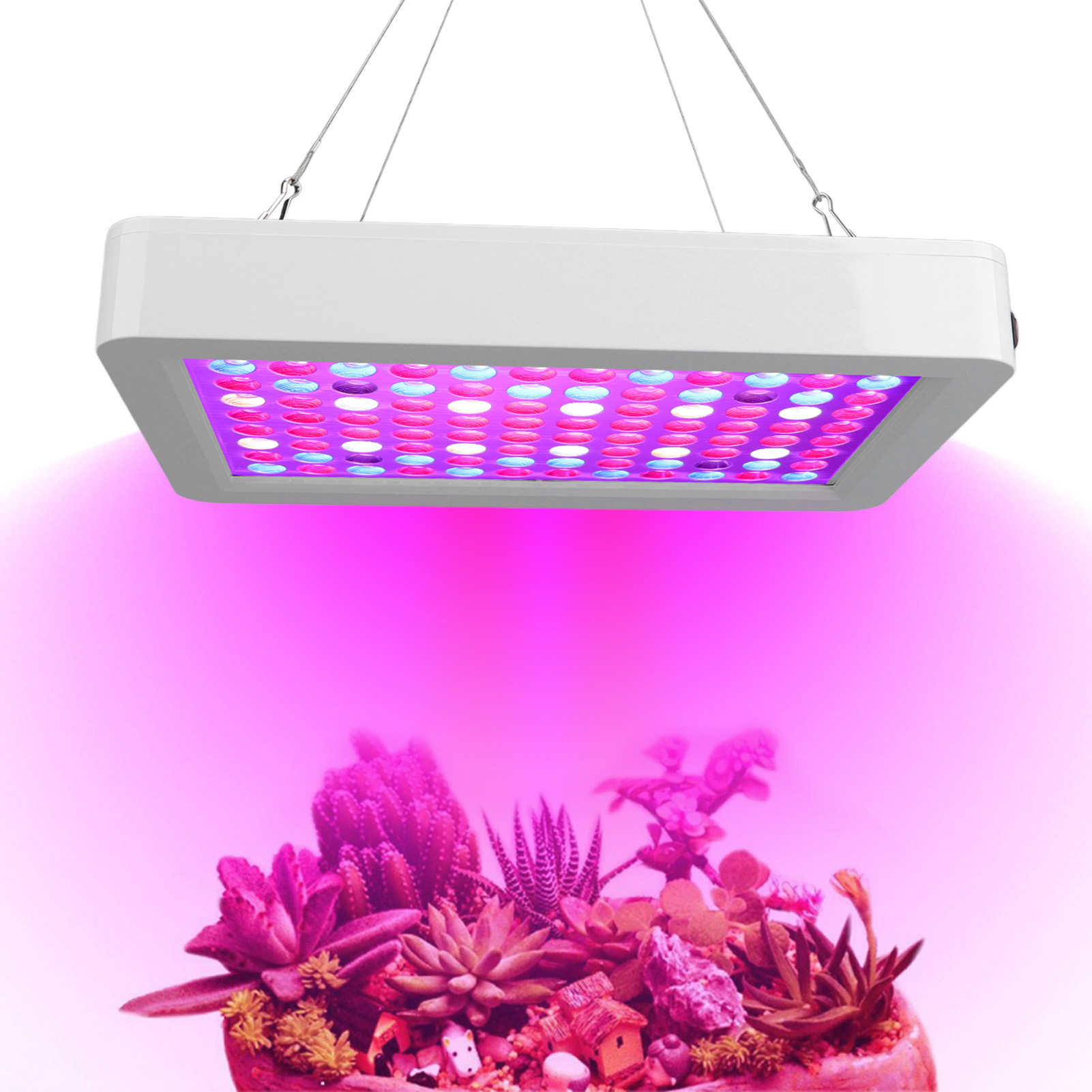 Intelligente Hochleistungs-pflanzenlampe (100–277 V, Ac) Für Sukkulenten Im Gewächshaus – Kompaktes Modell Gemäß Europäischen Normen – Weiß
