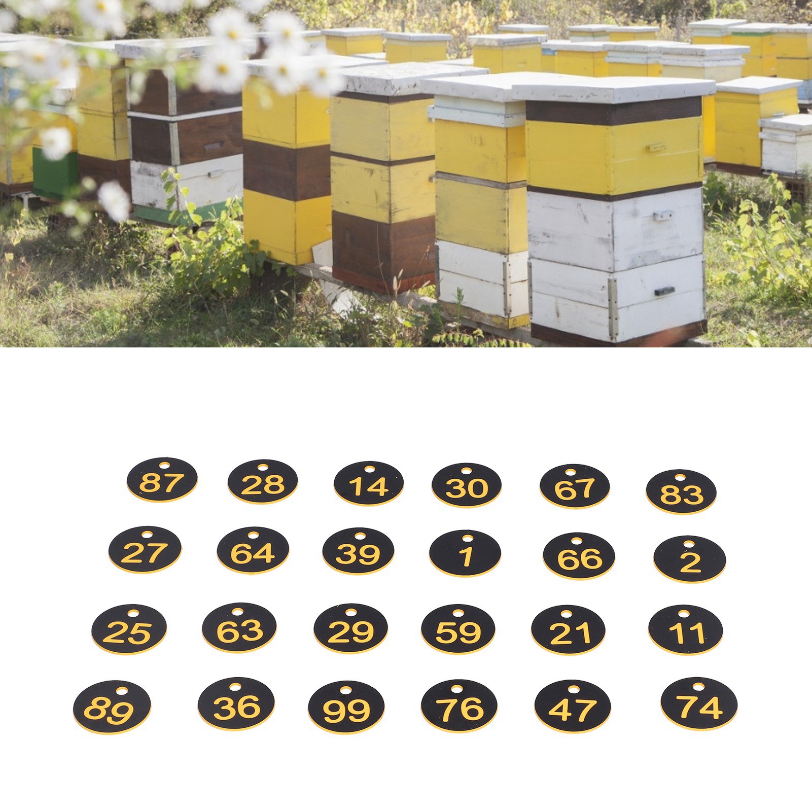 100 Runde, Nummerierte Etiketten Mit Loch Für Bienenstöcke, Imkerzubehör (schwarz Und Gelb)