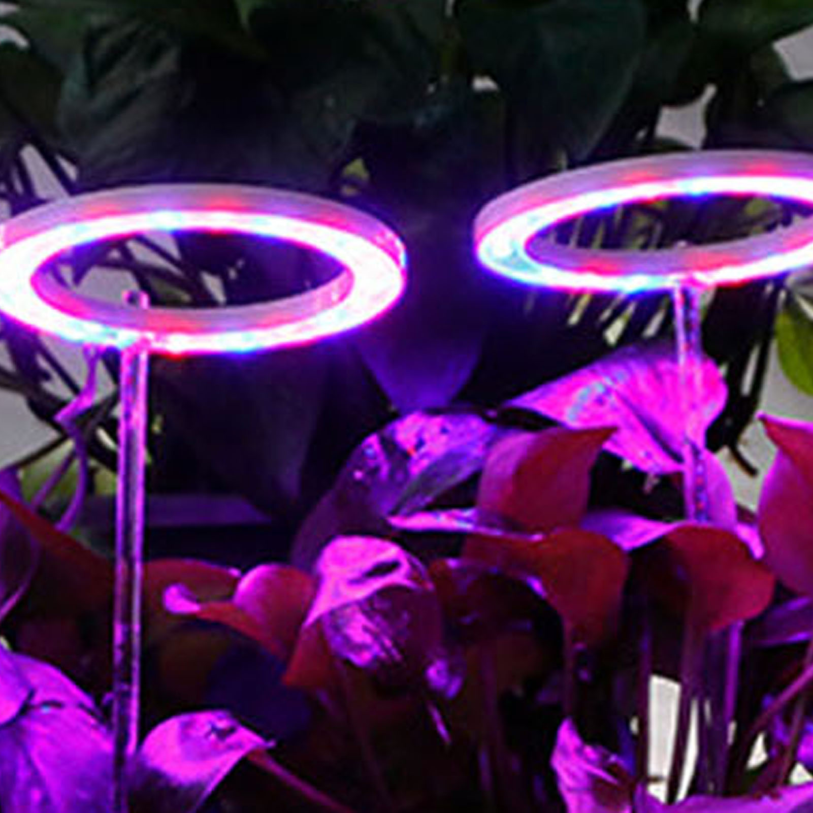 Vollspektrum-led-pflanzenlampe Mit Timer, 5 Dimmstufen, Usb-anschluss, Geeignet Für Sukkulentengewächshäuser, Mit Rotem Und Blauem Licht.