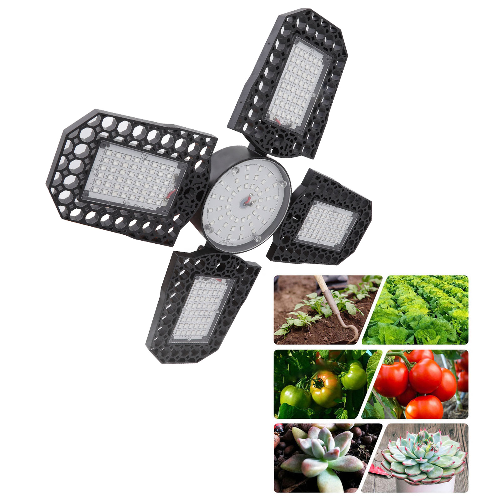 150-w-led-lampe Für Sukkulenten, Rotes Und Blaues Lichtspektrum, E27-fassung, Faltbare Gartenbaulampe.