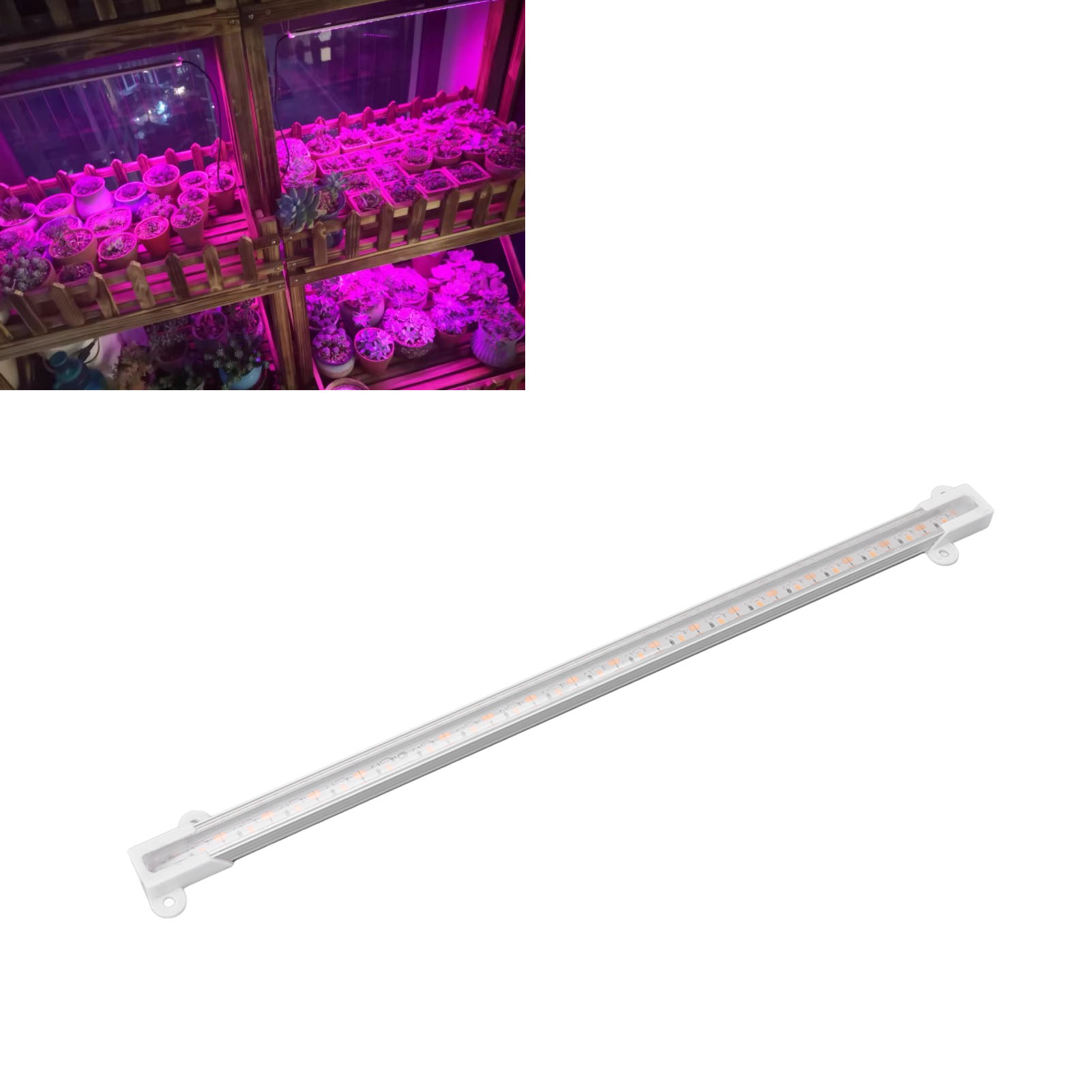 10w Solar-pflanzenleuchte