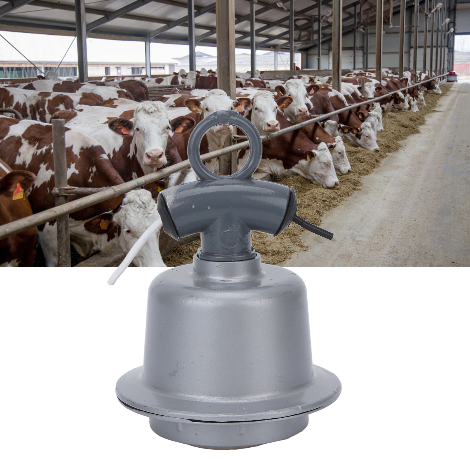 E27-dreistärkensteckdose Für Schweineställe, Isolierte Keramiksteckdose Zum Schutz Vor Überhitzung Und Schmelzen.