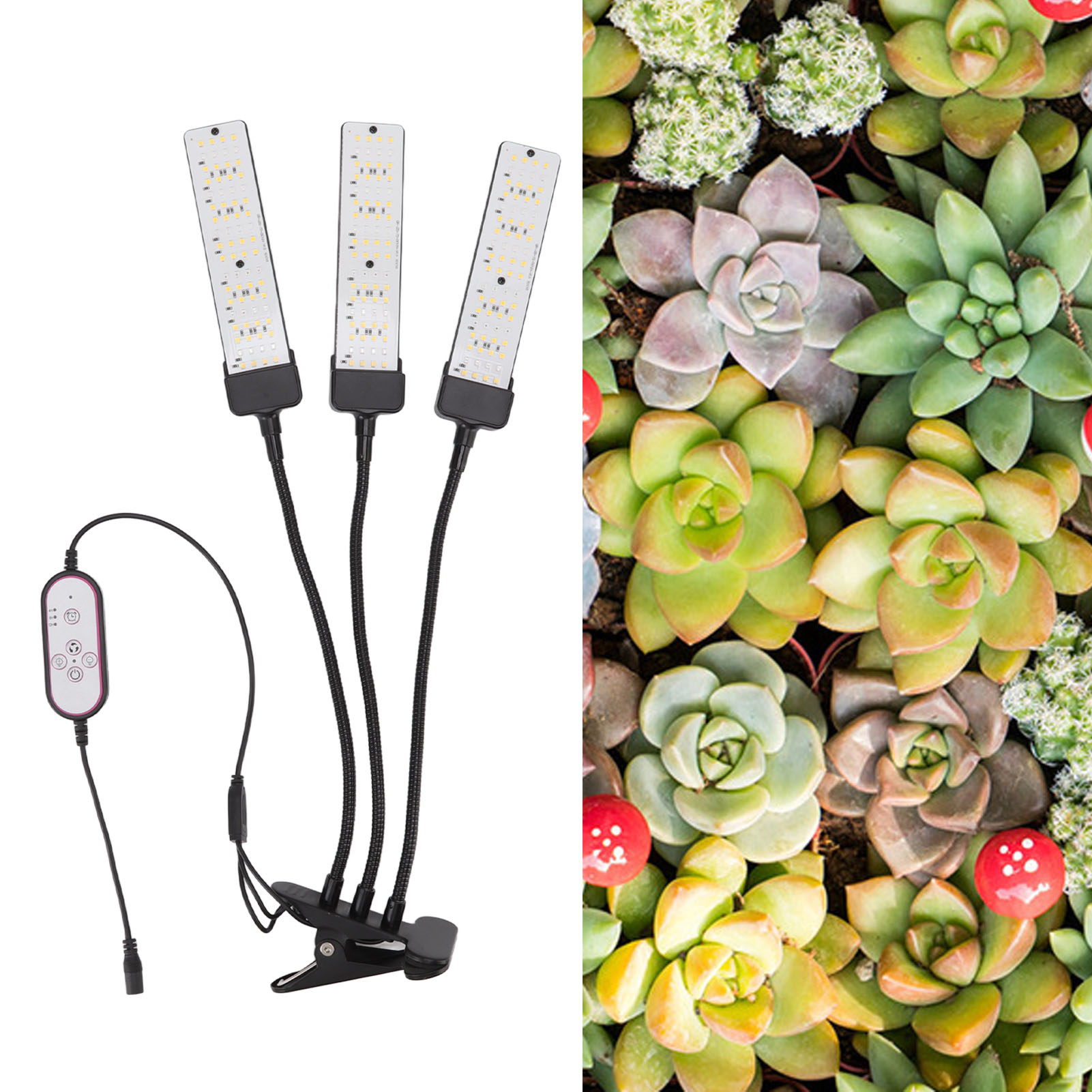 Ansteckbare Led-pflanzenlampe Mit Schwanenhals, Vollspektrum, Drei Leuchtenköpfe Mit Timer Für Sukkulenten, Eu-stecker 100–240 V