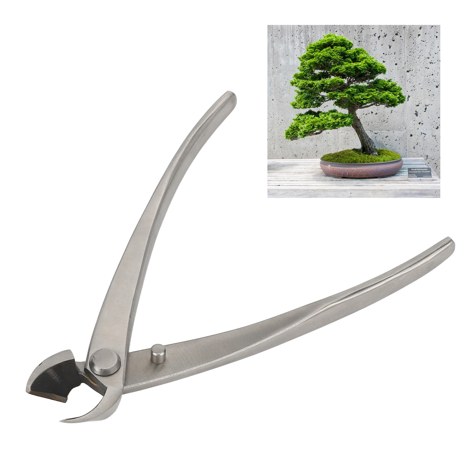 165 Mm Lange, Diagonale Seitenschneiderzange Aus Edelstahl Für Die Hochwertige Bonsai-gestaltung