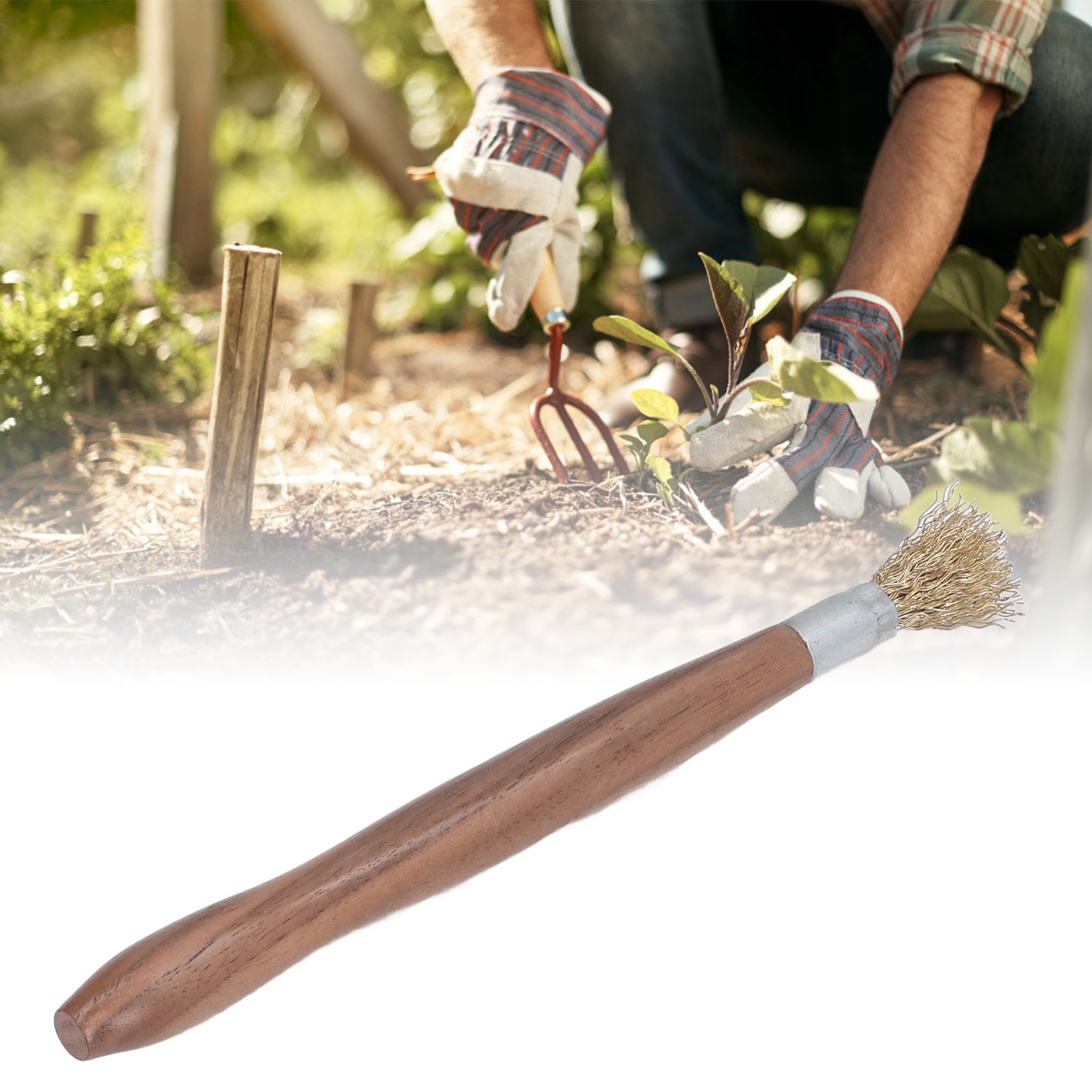 Für Die Pflege Von Bonsai Und Topfpflanzen Wird Eine 20 Cm Lange Metallbürste Mit Holzgriff Verwendet.