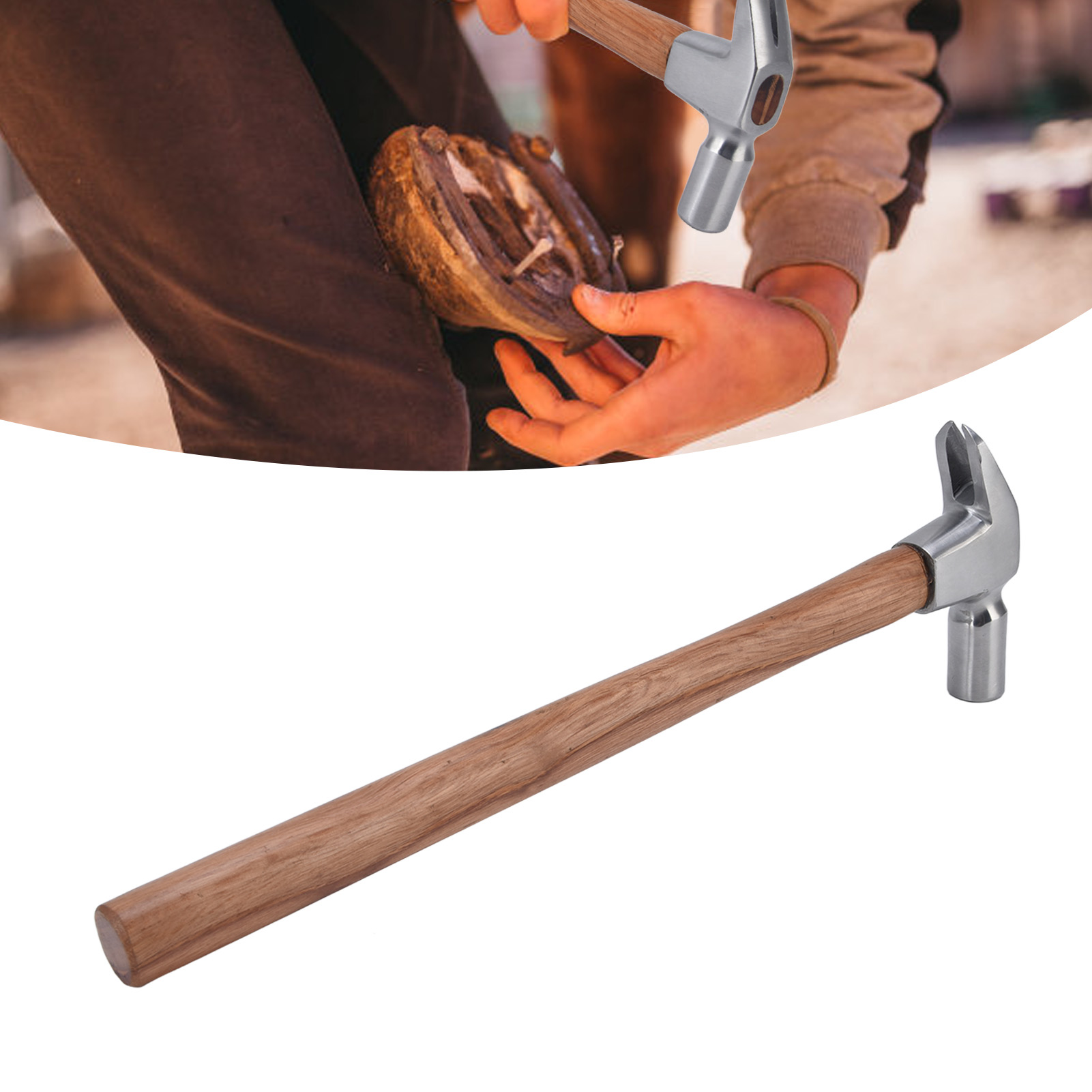 Hufbeschlaghammer, Kleiner Hammer, Klauenhammer, Spezialwerkzeuge Zum Nageln Und Beschlagen Von Hufen