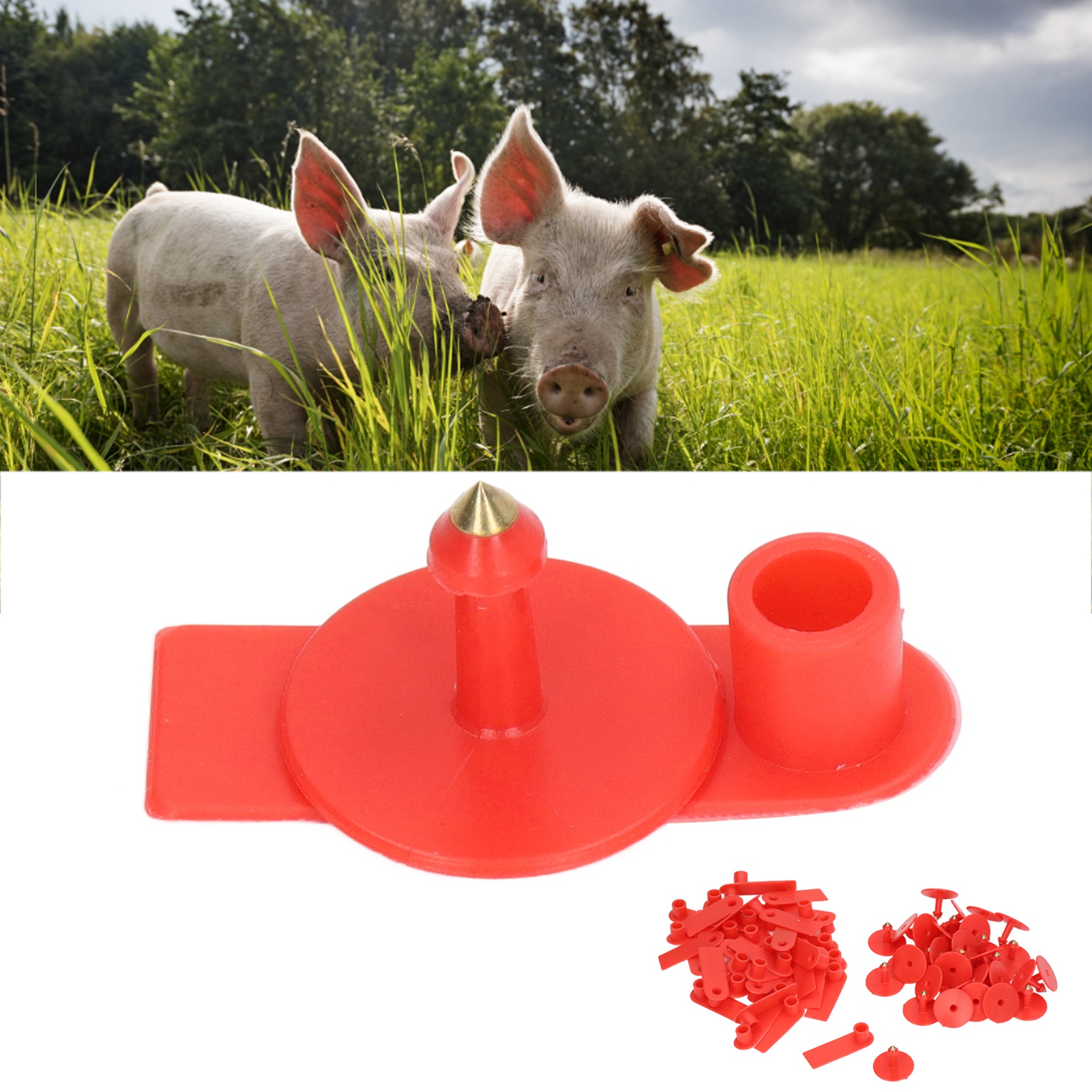 100 Stück/verkauf, Einfache Handgeschriebene Rote Ohrmarken Für Schafe, Abriebfeste Ohrmarken Für Schweine, Können Auch Als Ohrmarken Für Kühe Verwendet Werden.