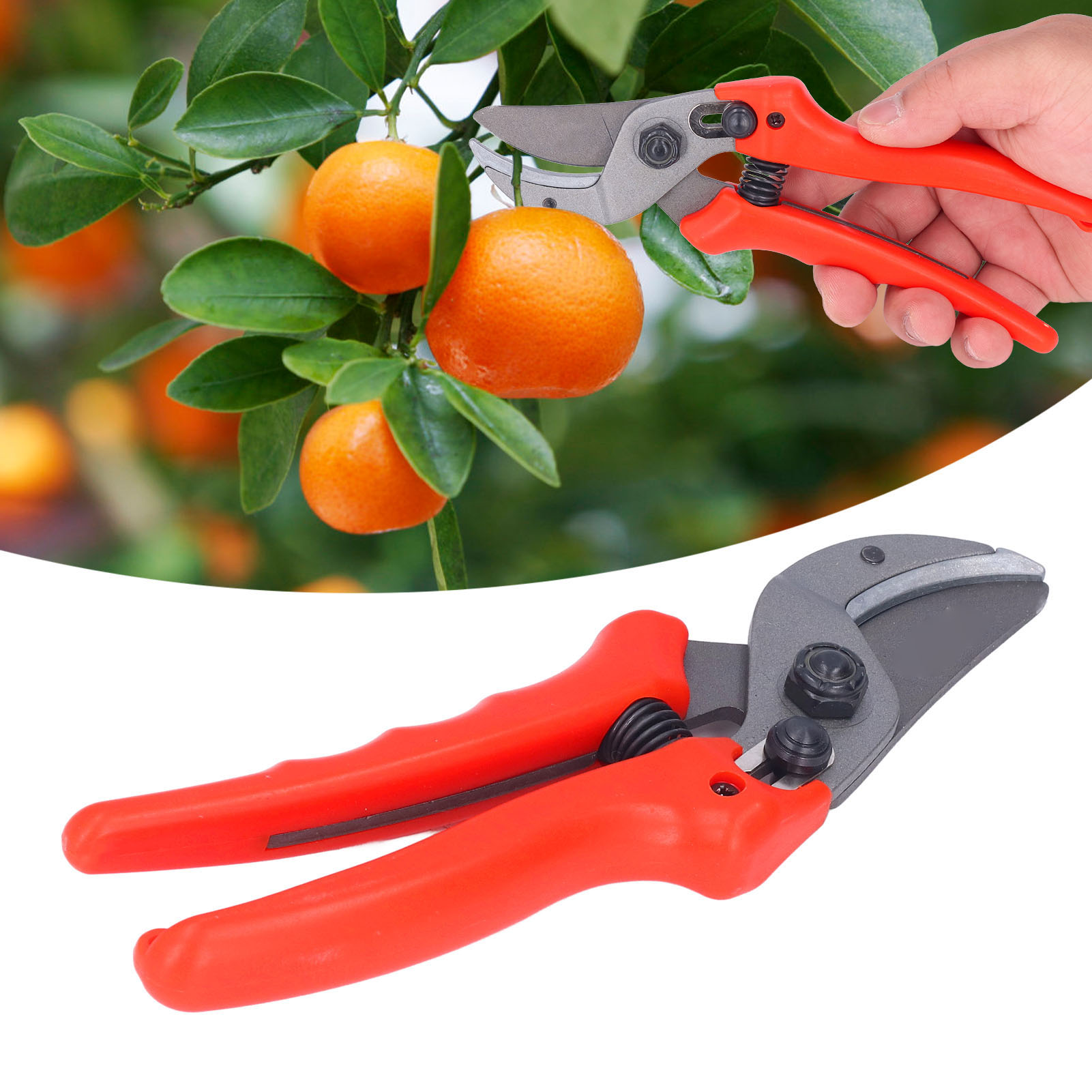 Gartenschere, Obstbaumschere, Gartengeräte, Gartenschere