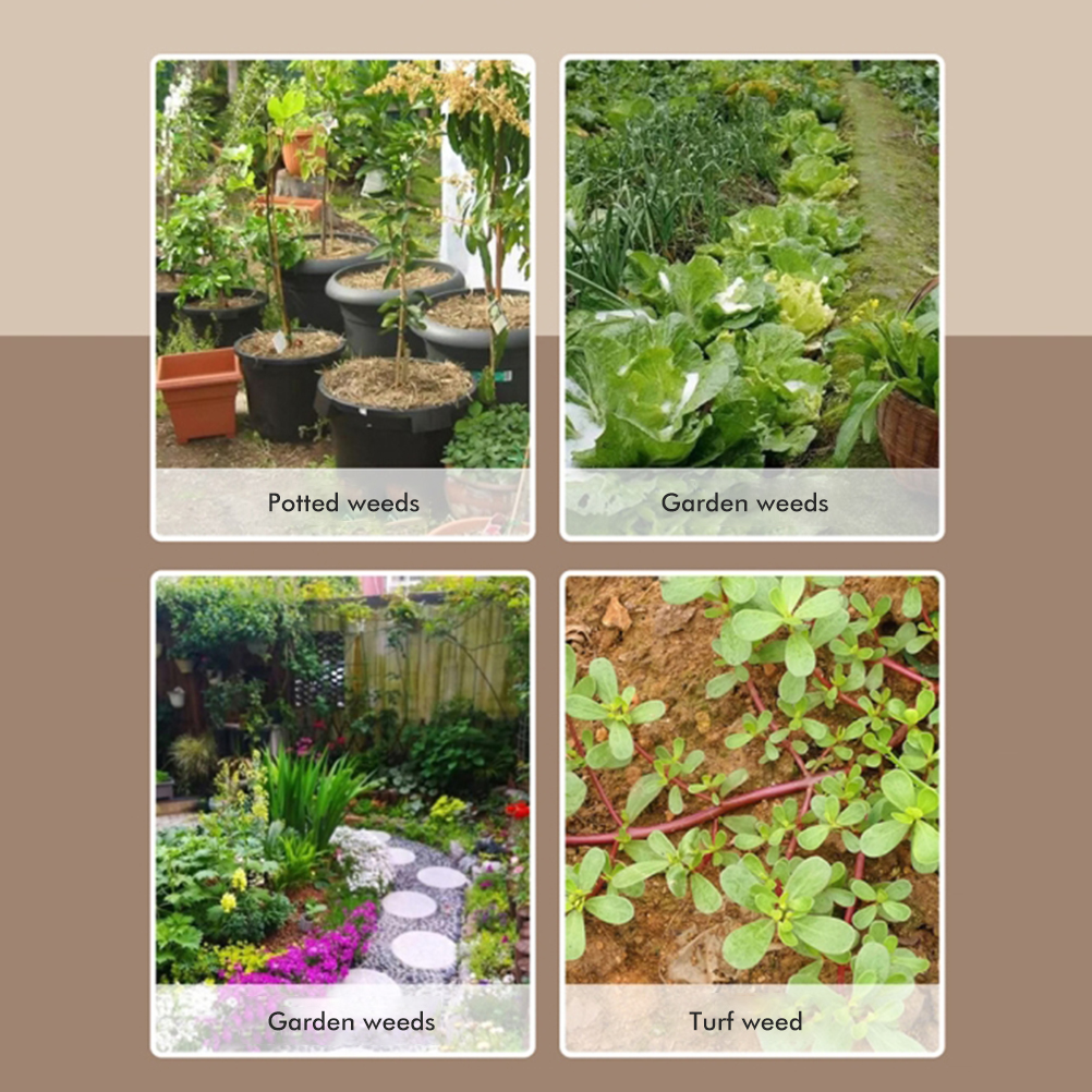 Manueller Unkrautschneider/wurzelzieher/gartenunkrautschneider, Schwarz, Ohne Dass Man Sich Bücken Muss.