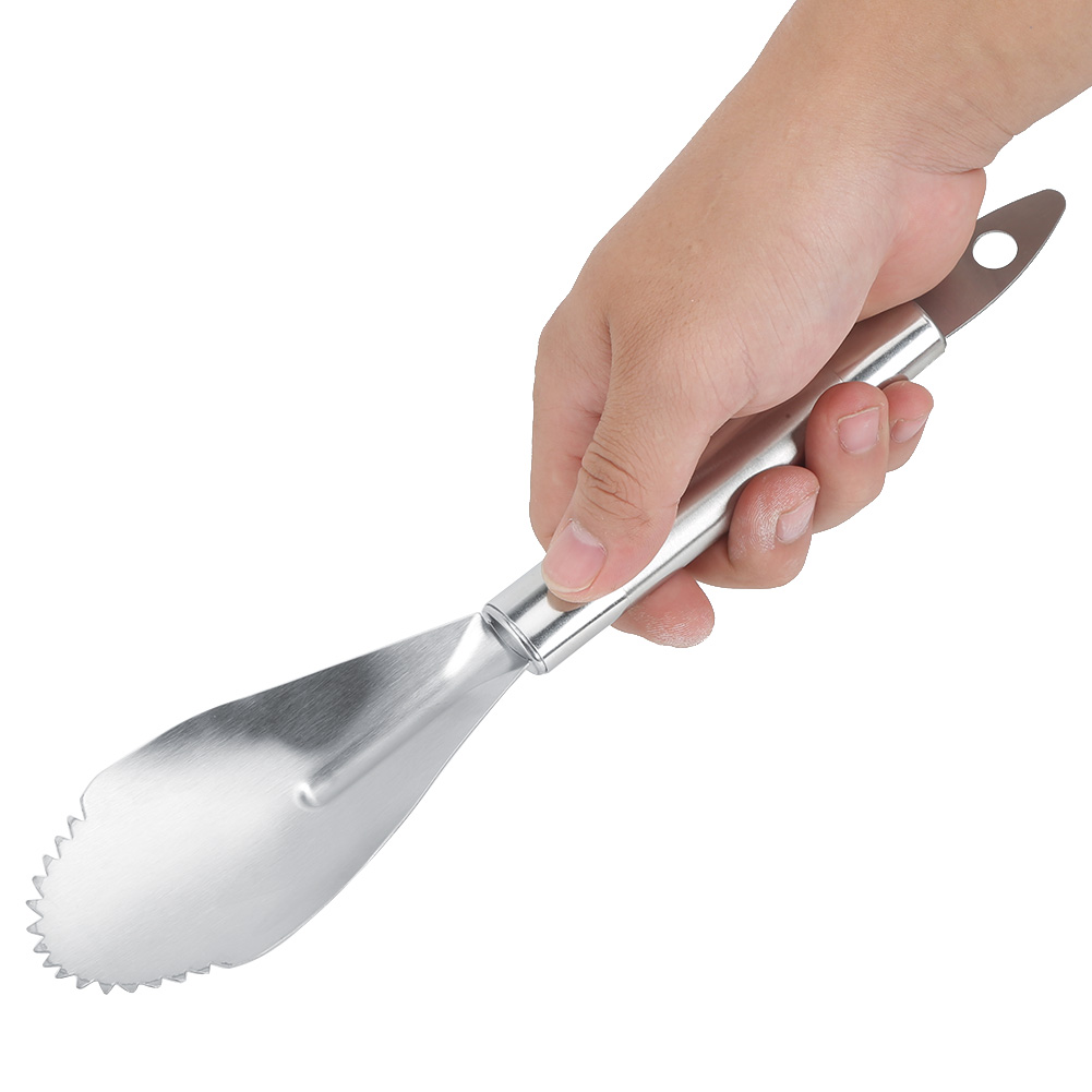 Obstschäler Aus Edelstahl Für Grapefruit Und Pomelo, Küchenaccessoire