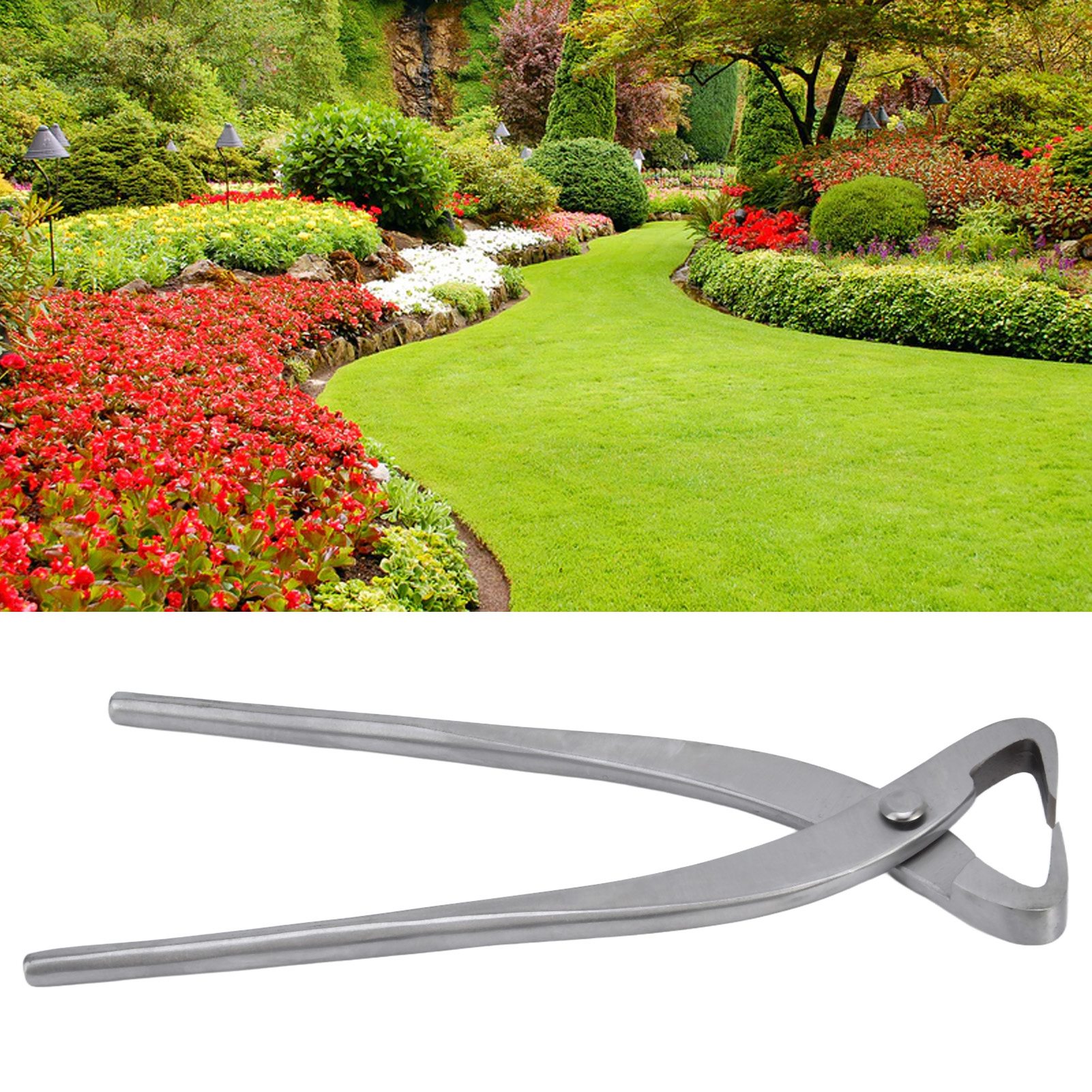 210 Mm Edelstahlzange – Professionelles Bonsai-formwerkzeug