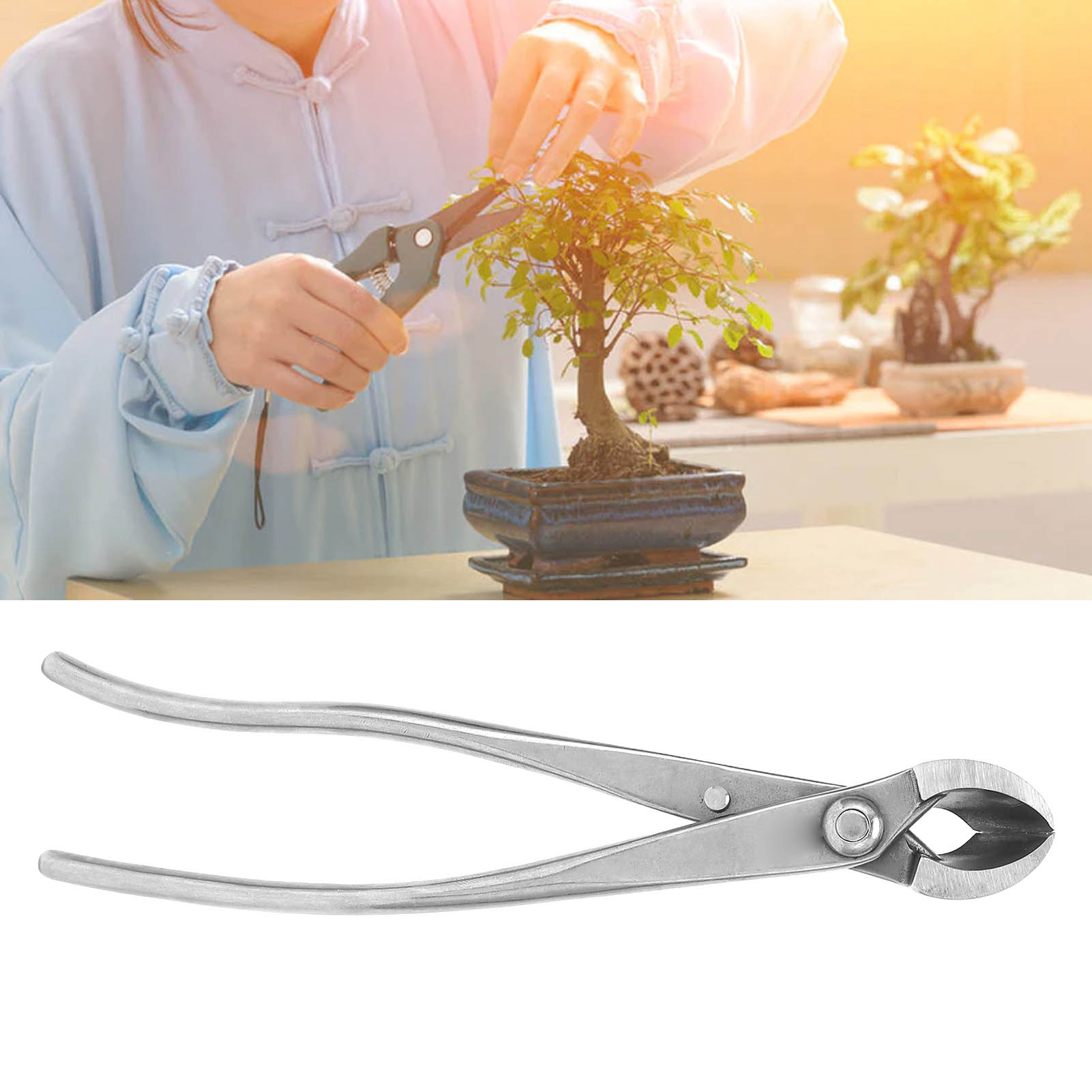 210 Mm Edelstahl-flachzange, Flachschere Für Die Shariki-herstellung Und Bonsai-gartenarbeit